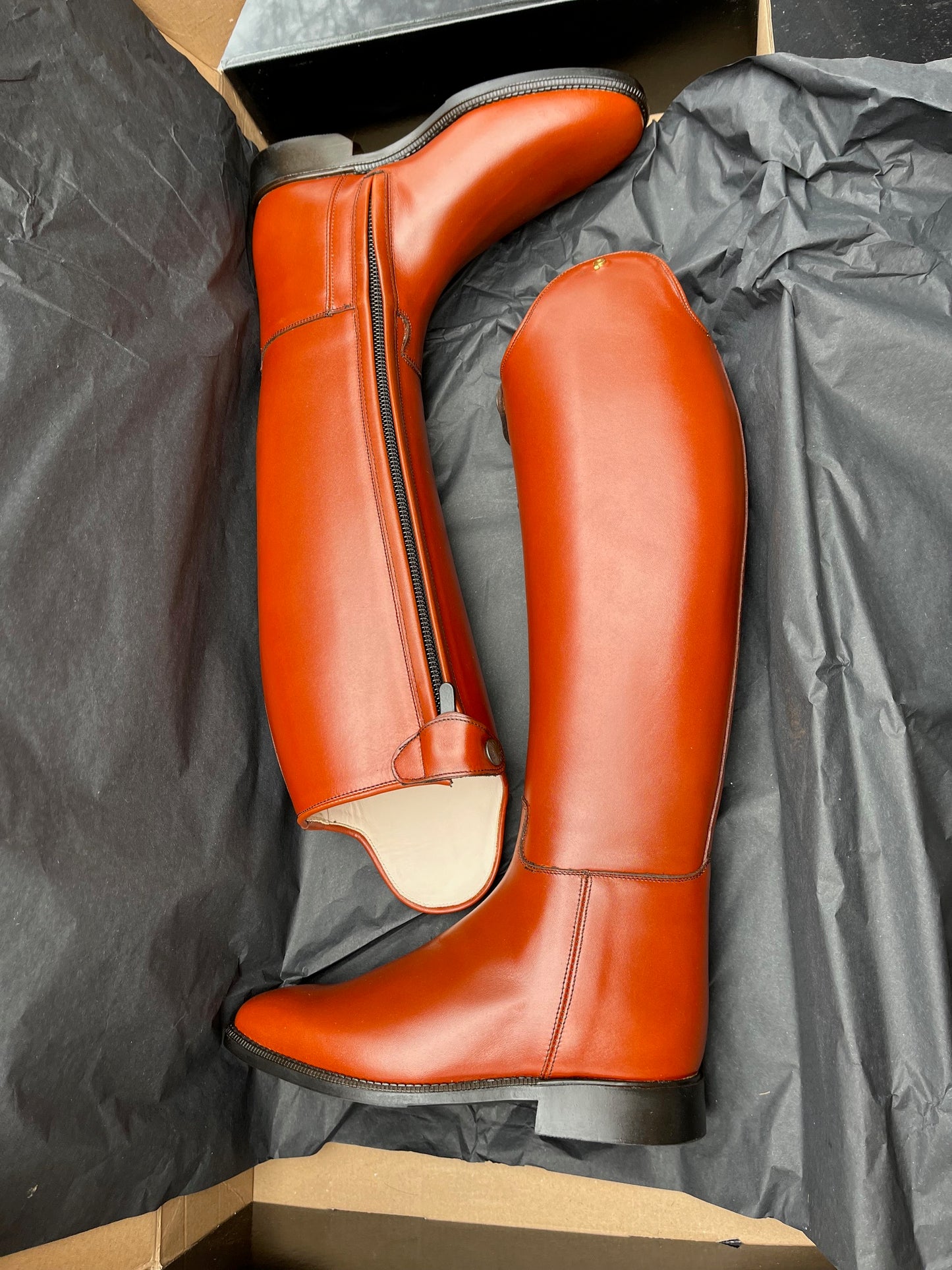 Beautiful Brown Petrie Olympic Dressage Boots