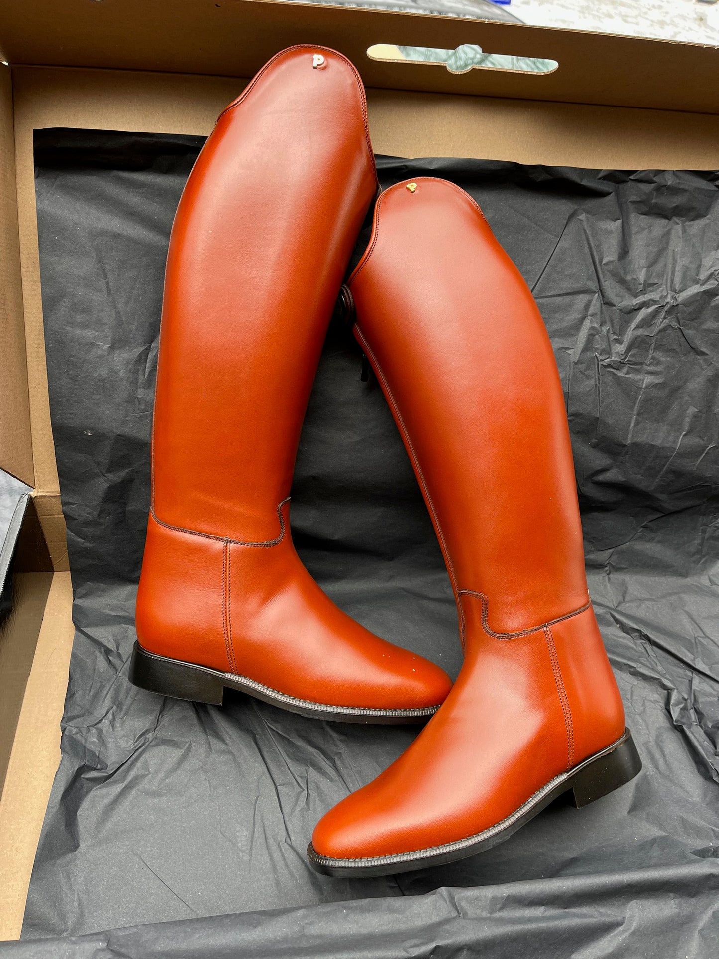 Beautiful Brown Petrie Olympic Dressage Boots